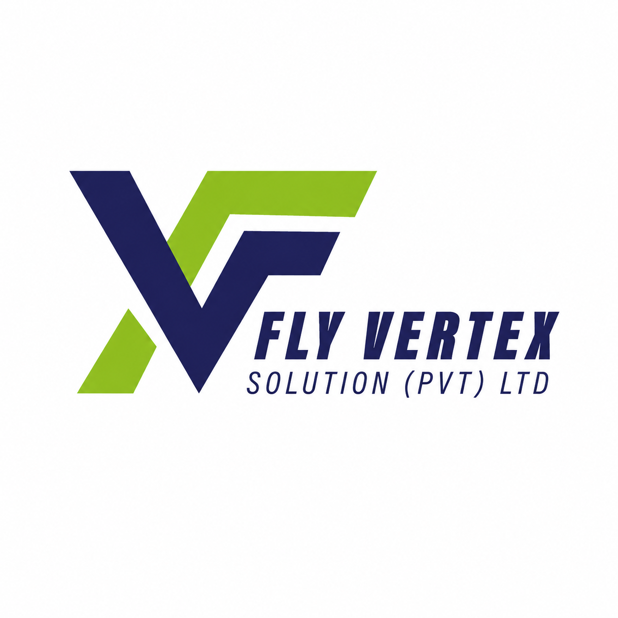 FLY VERTEX SOLUTION PVT LIMITED